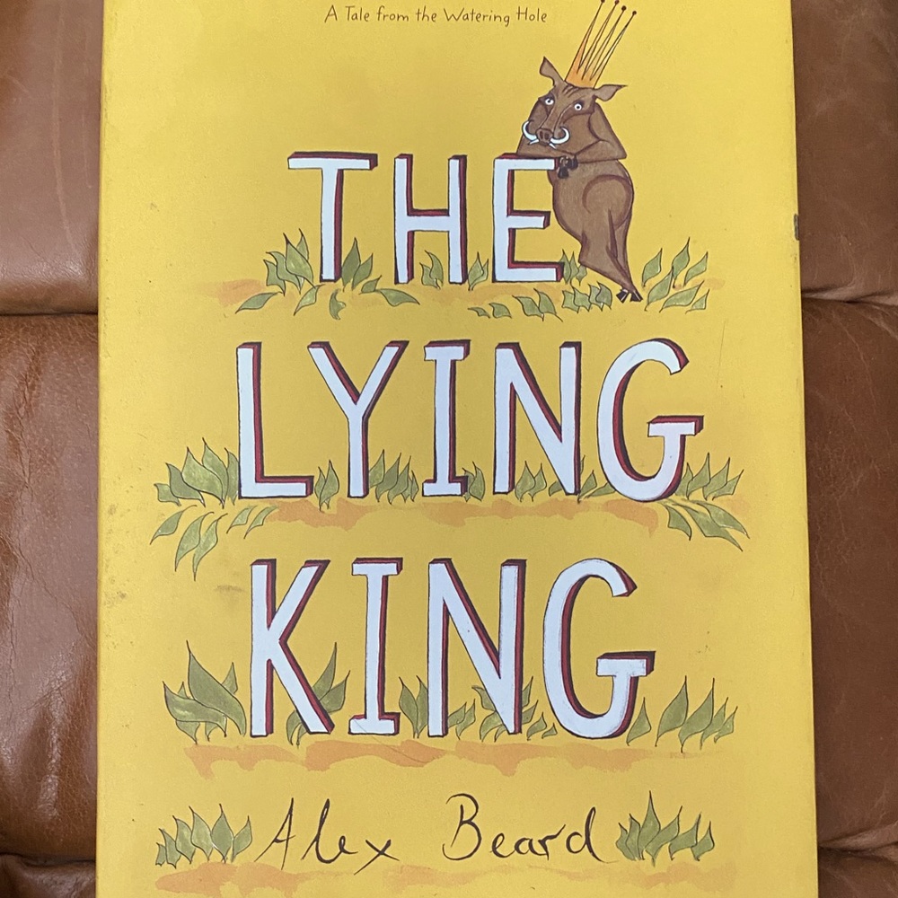 3/$20💕 THE LYING KING hardback book